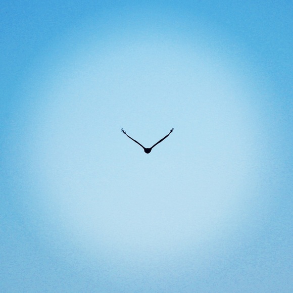 Meet your Posher, Rick - Picture 1 of 1